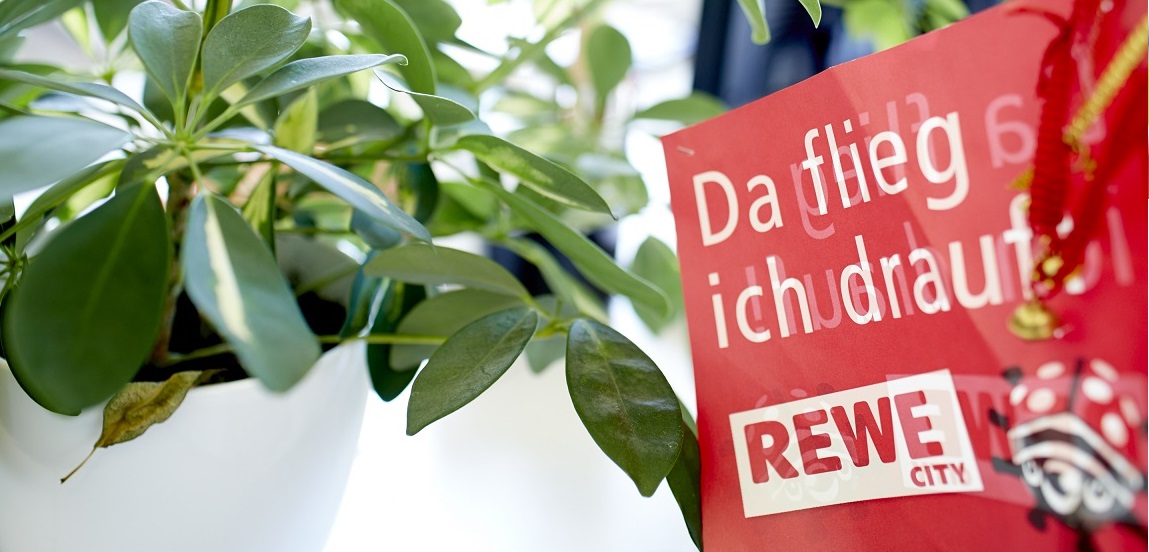 Rewe Systems unsere Werte